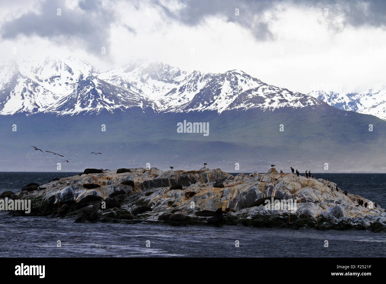 Ushuaia, Tierra del Fuego, Argentina Foto Stock