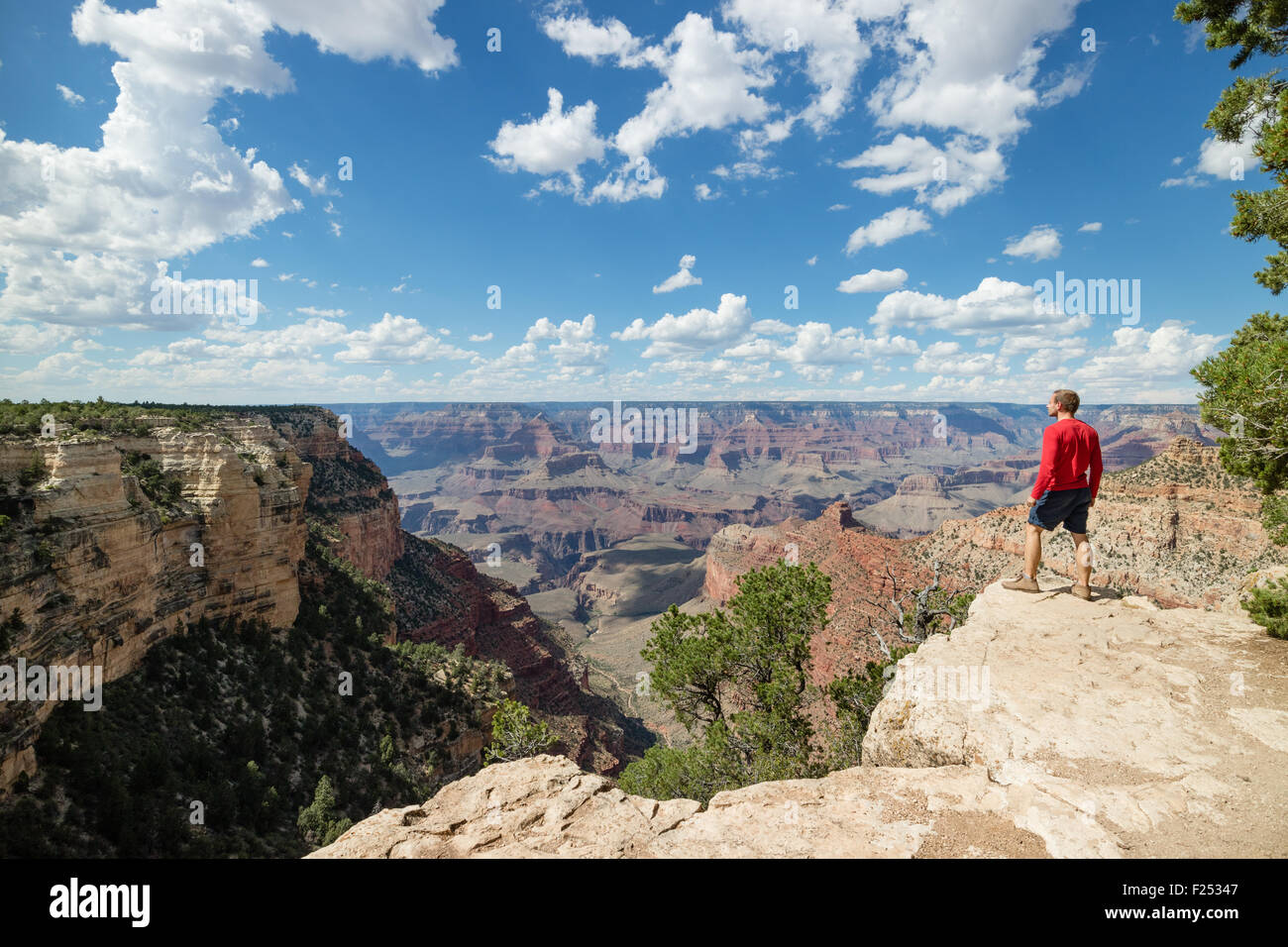 Bellissima vista del Parco Nazionale del Grand Canyon dal South Rim, Arizona, Stati Uniti d'America Foto Stock