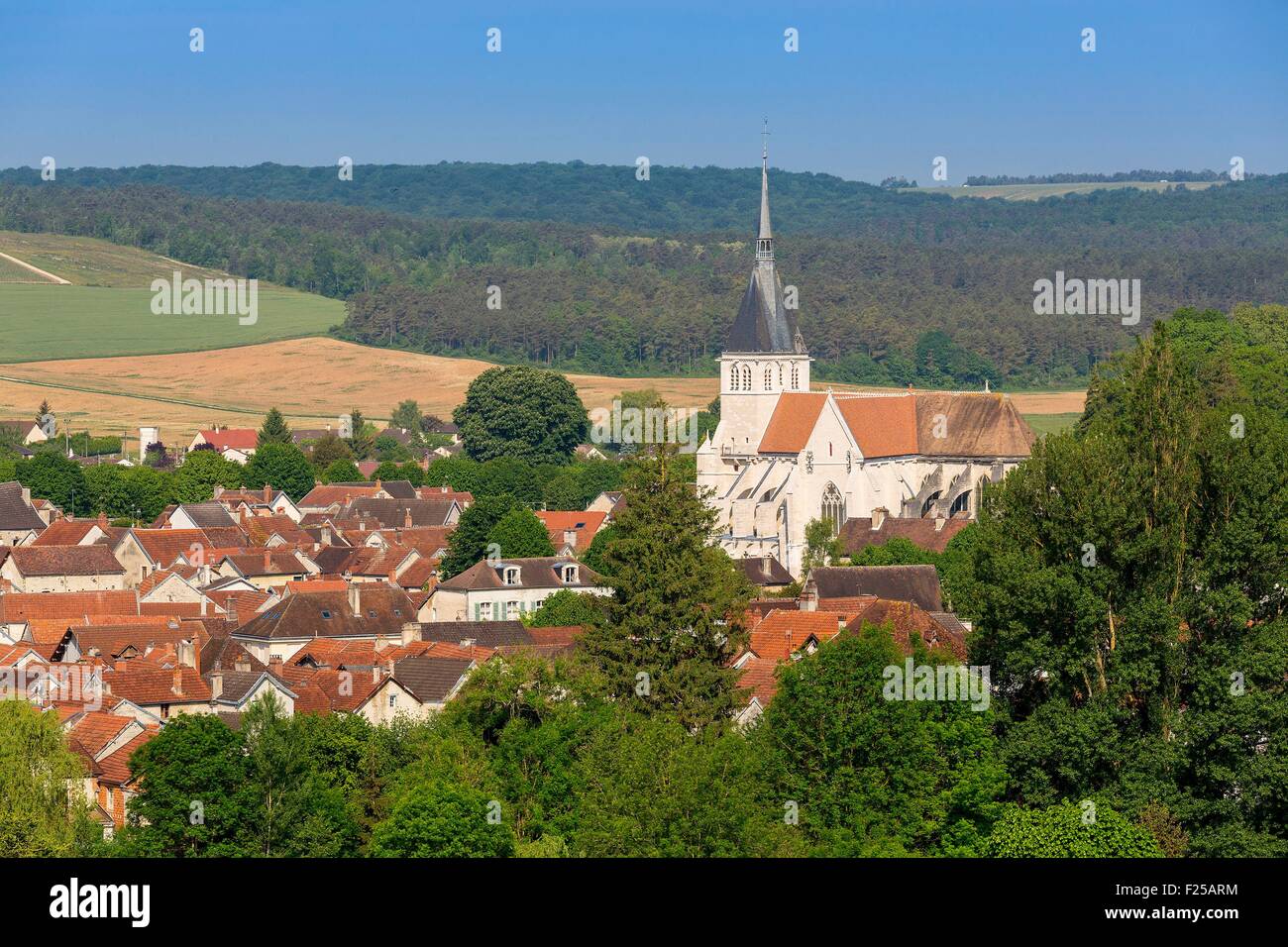 Francia, Aube (10), Mussy sur seine, panoramica sul villaggio e Saint Pierre Chiesa Foto Stock