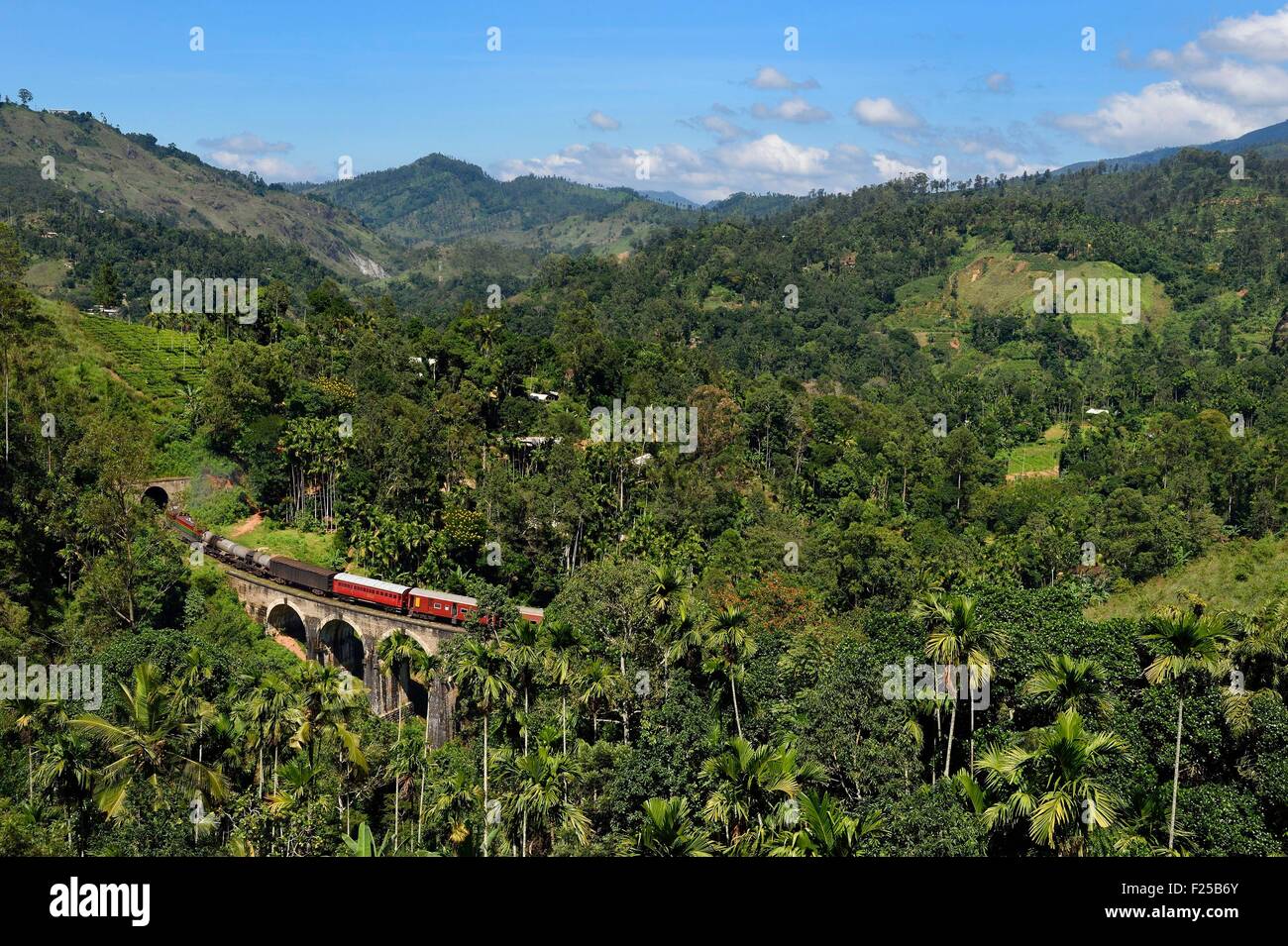 Sri Lanka, provincia di Uva, treno sulla linea ferroviaria che passa attraverso il tè crescente hill country tra Badulla e Ella, nove archi ponte (1921) accanto a Ella Foto Stock