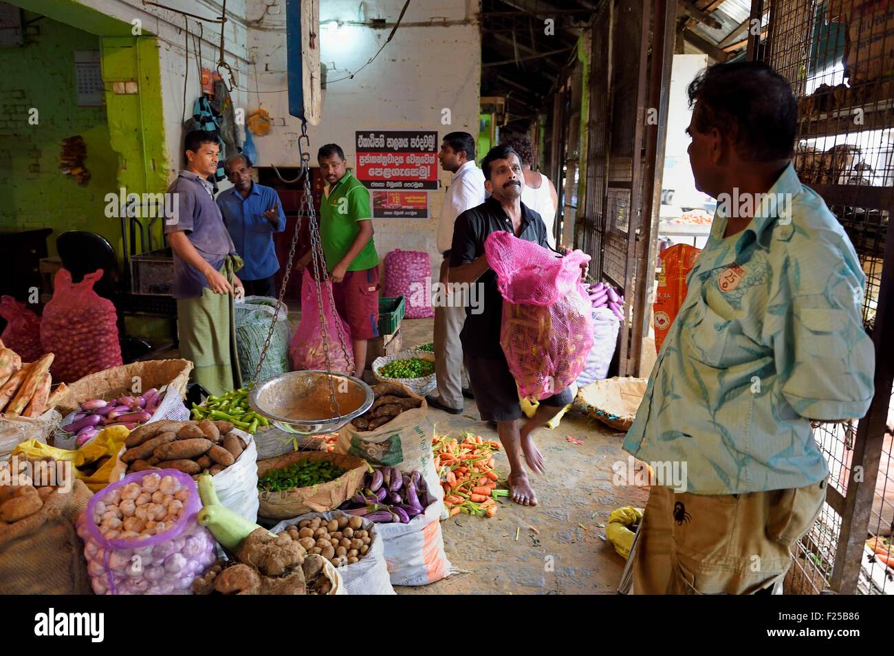Sri Lanka, provincia occidentale, Distretto di Colombo, Colombo, Manning mercato di frutta e verdura in Pettah district Foto Stock