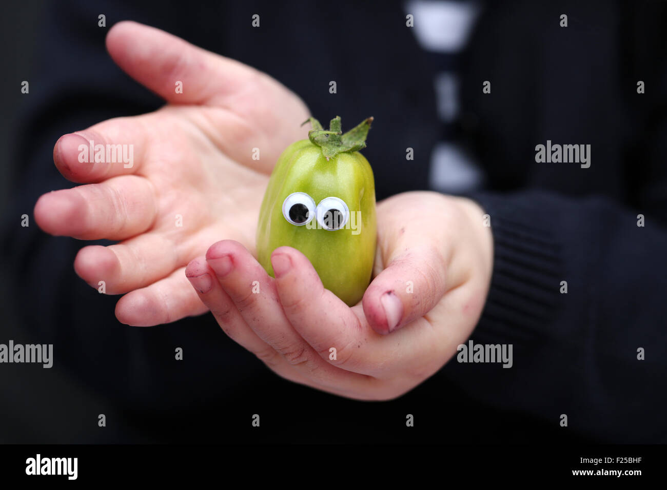 Un giovane bambino tiene un pomodoro in un giardino. Il pomodoro ha stick su gli occhi per rendere le coltivazioni divertimento e incoraggiare i bambini nel giardino Foto Stock