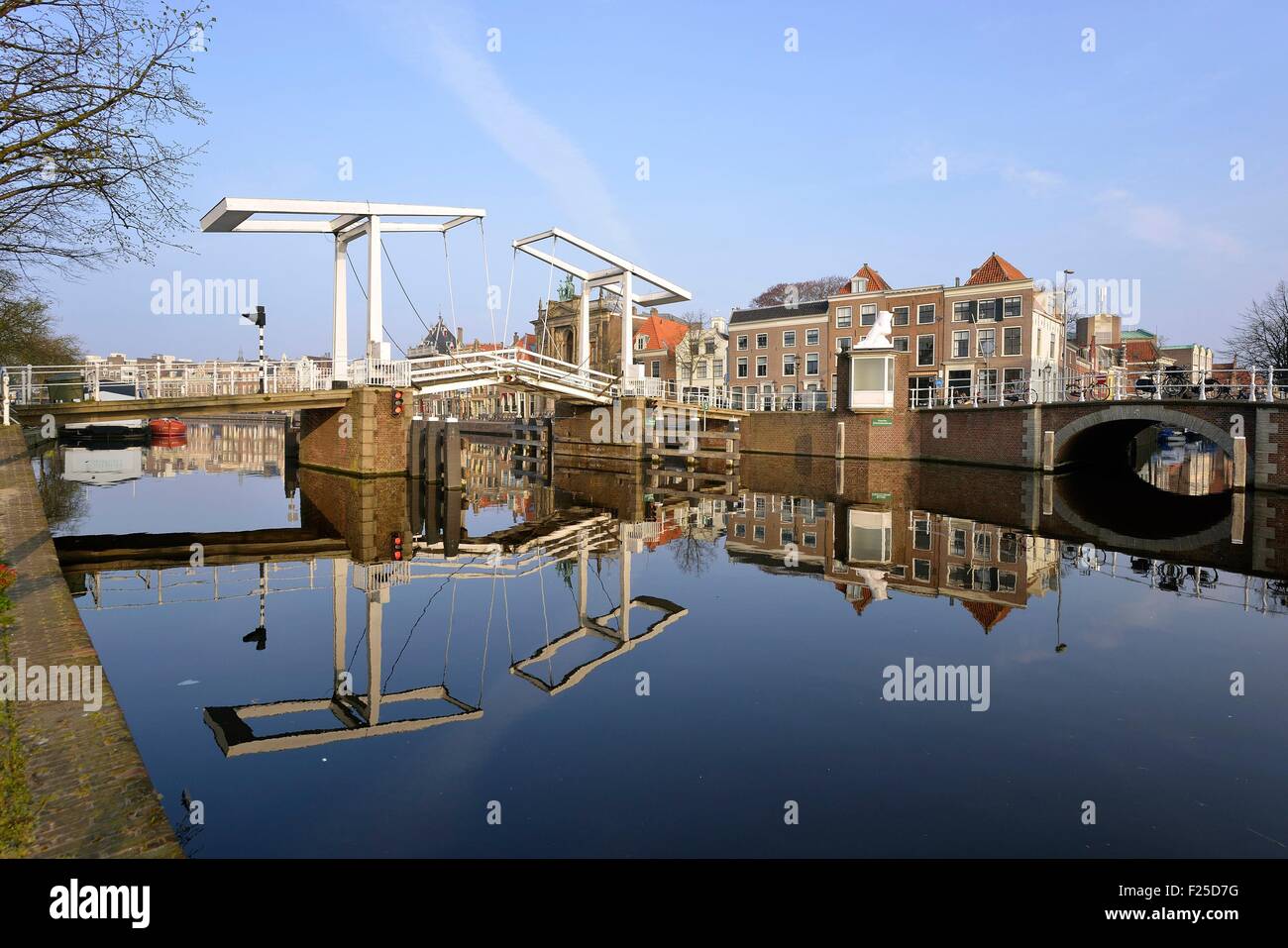 Paesi Bassi Olanda Settentrionale, Haarlem, fiume Spaarne con Teylers Museum e Grote Kerk Foto Stock