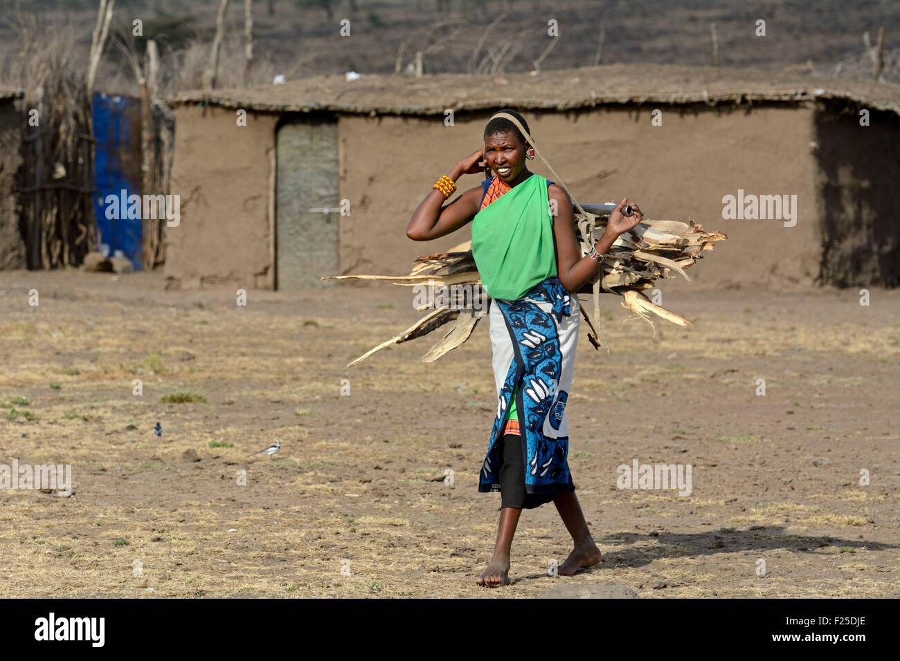 Kenia Masai Mara riserva Masai donna portando un fascio di legna da ardere per il suo ritorno al paese Foto Stock