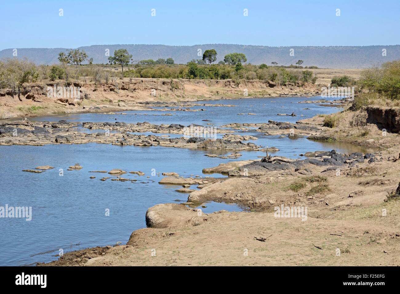 Kenya, riserva Masai Mara, riserva, fiume di Mara durante la stagione secca Foto Stock