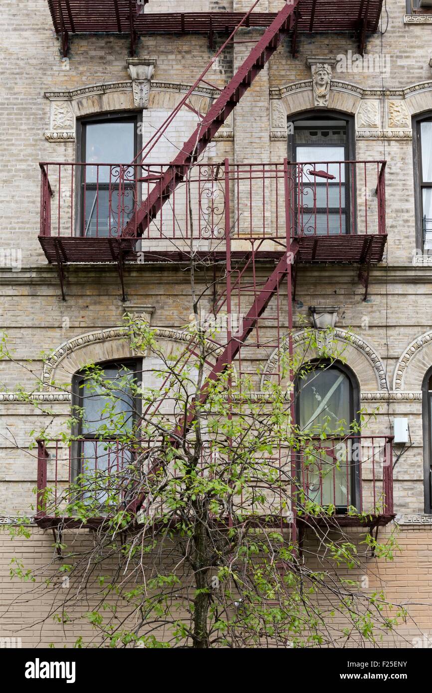 Stati Uniti, New York, Brooklyn, Williamsburg neighborhood, facciata di edificio con metallo esterno scale e albero Foto Stock