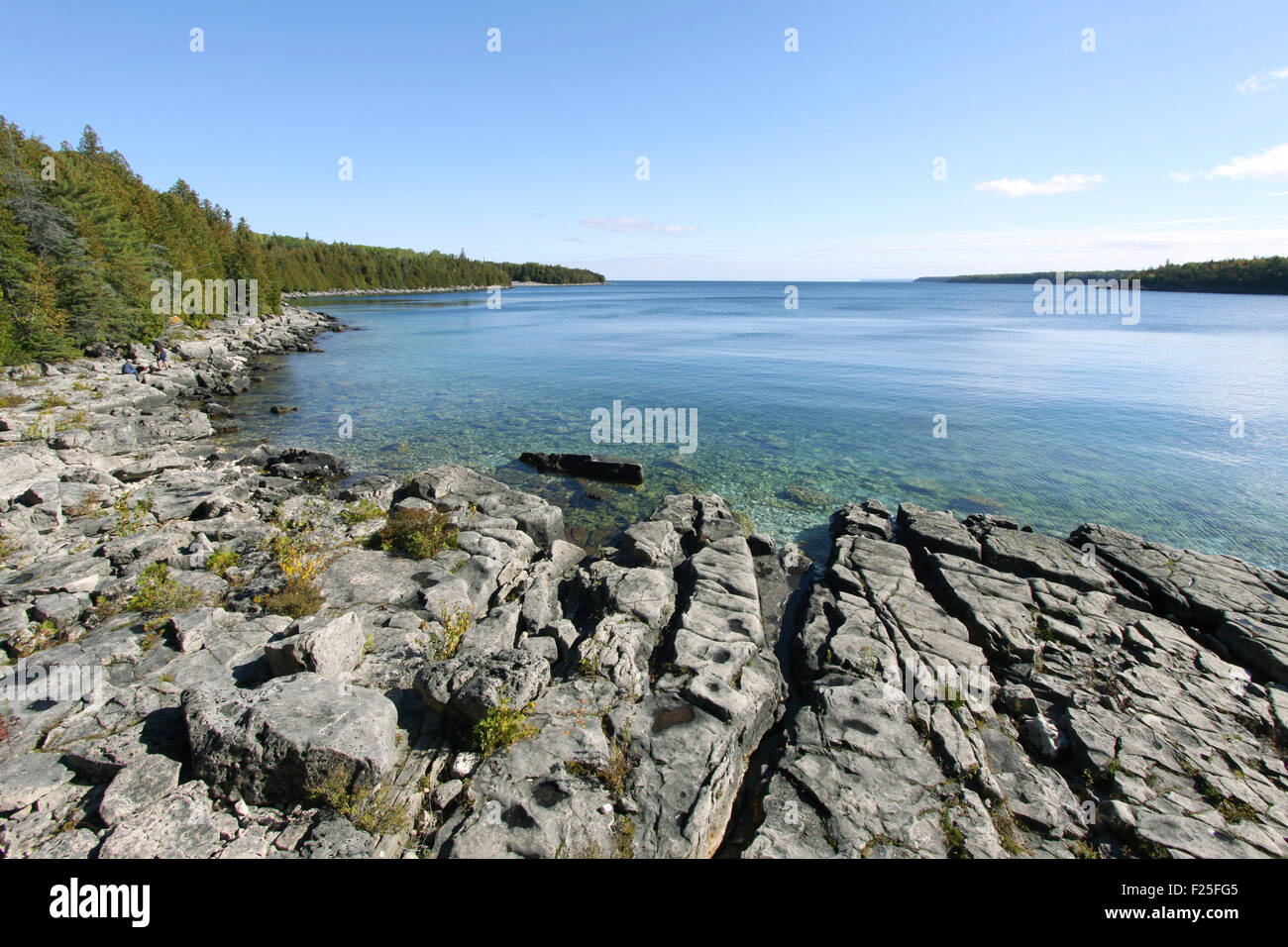 Spiaggia rocciosa di Georgian Bay, Bruce Peninsula, Ontario, Canada. Foto Stock