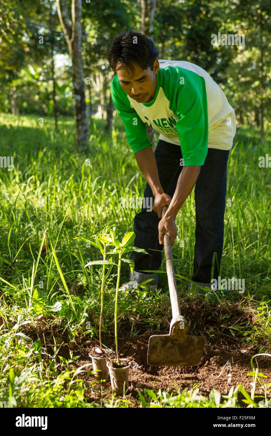 Indonesia, isole Sunda, Lombok, WWF Nuovo Progetto Trees, abitante di piantare un albero in Gunung Rinjani National Park Foto Stock