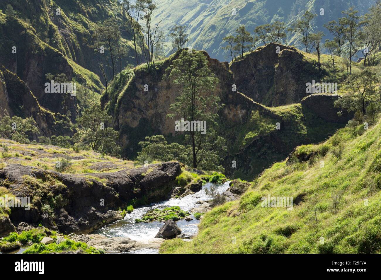 Indonesia, isole Sunda, Lombok, Gunung Rinjani National Park, fiume in una valle di Rinjani Foto Stock