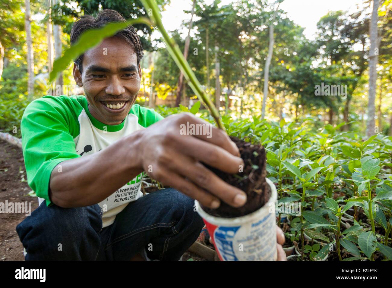 Indonesia, isole Sunda, Lombok, WWF Nuovo Progetto Trees, abitante prendendo cura degli alberi nel vivaio Foto Stock