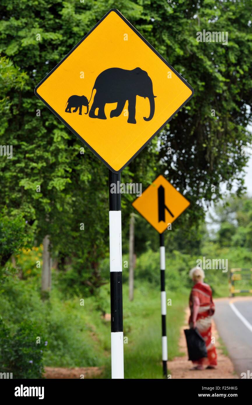 Sri Lanka, Provincia Orientale, Trincomalee, cartello stradale che indica la presenza di un elefante Foto Stock