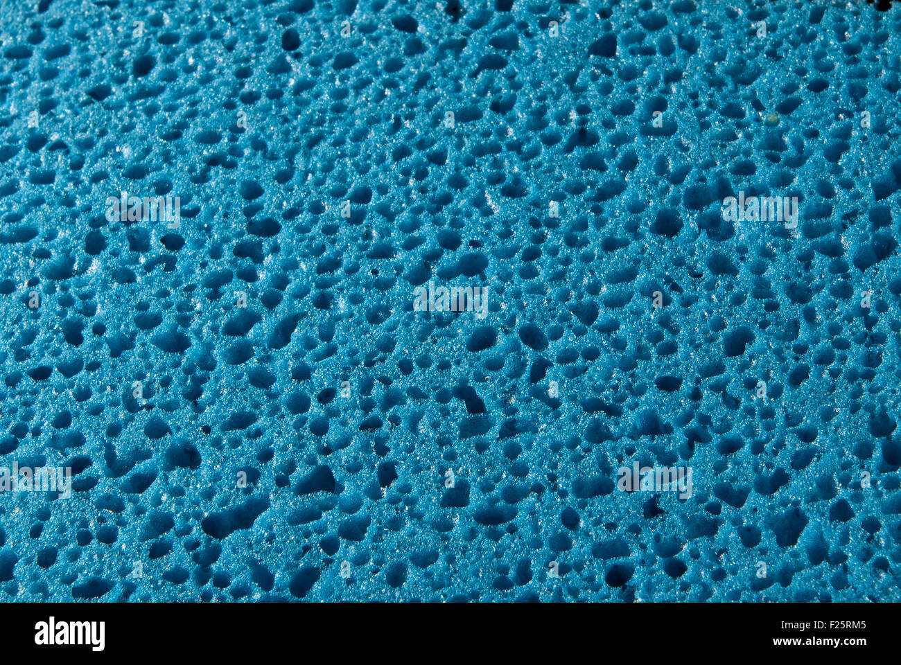 Macro di spugna blu sotto microscopio Foto Stock