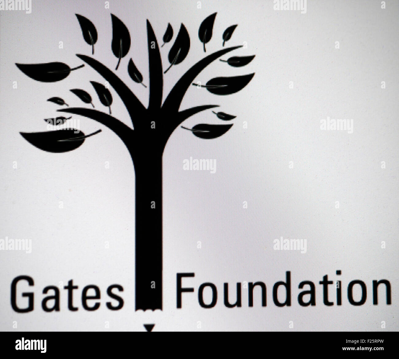 Markennamen: "Fondazione Gates', Berlino. Foto Stock