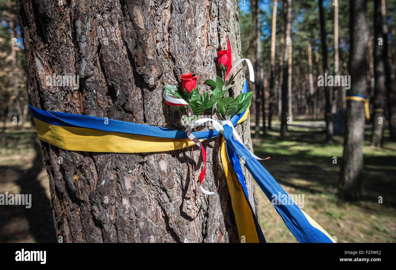 Bandiera ucraino sulle tombe di Bykivnia - National Historic Memorial sul sito dell'ex villaggio di Bykivnia vicino a Kiev, Ucraina Foto Stock