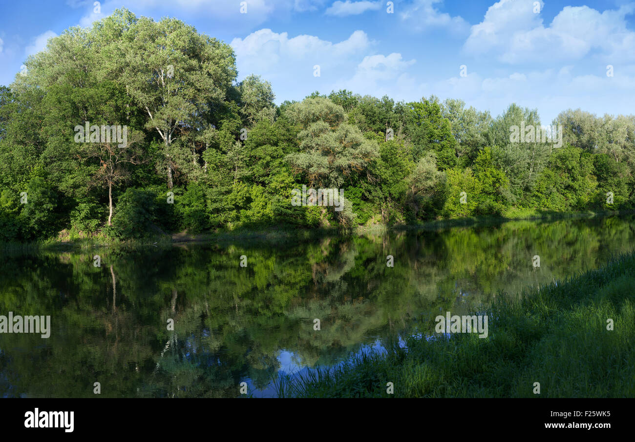 Estate natura paesaggio con fiume Foto Stock