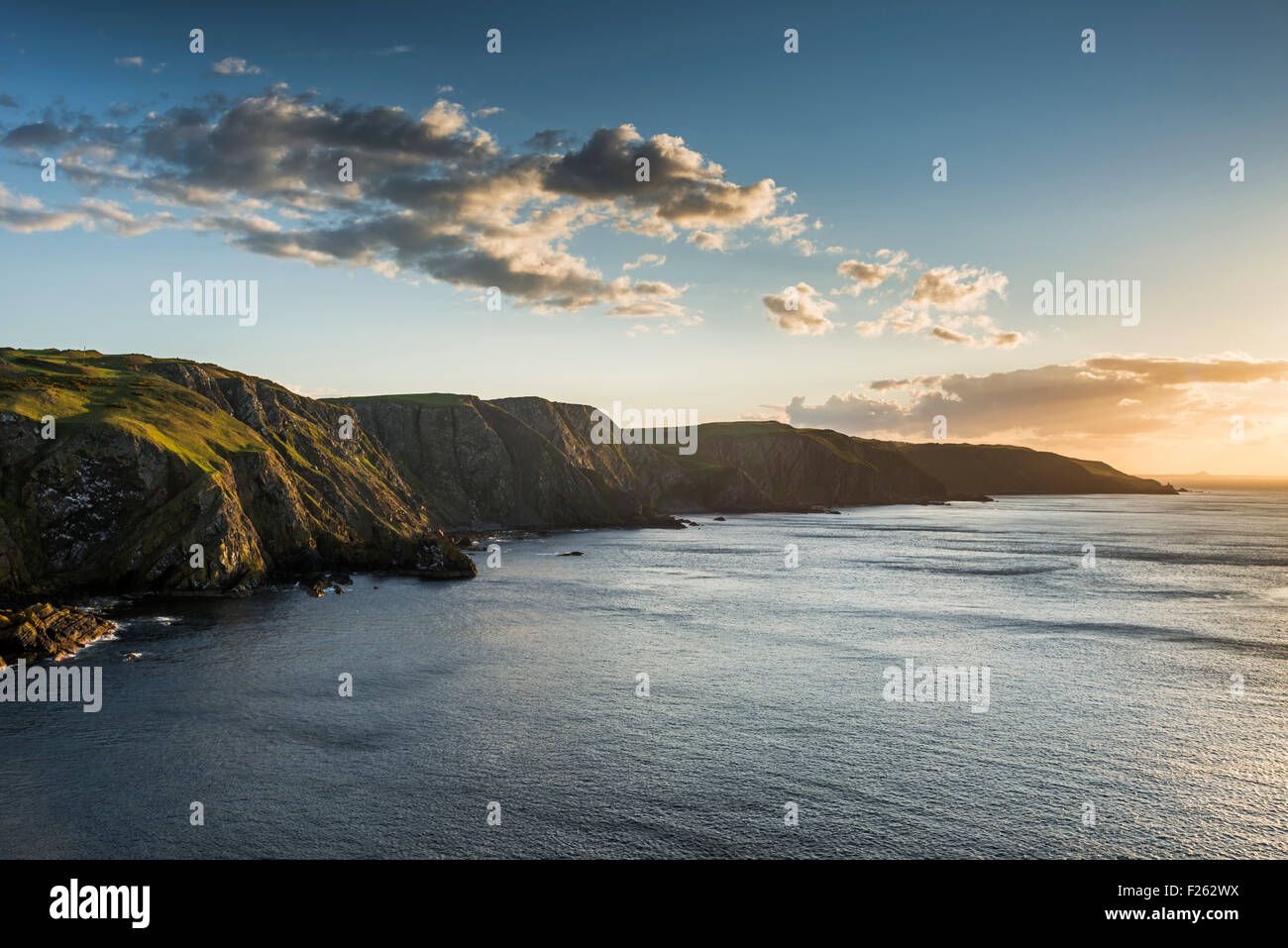 Scogliere sul mare a St. Abbs Head in Scottish Borders, Scozia Foto Stock