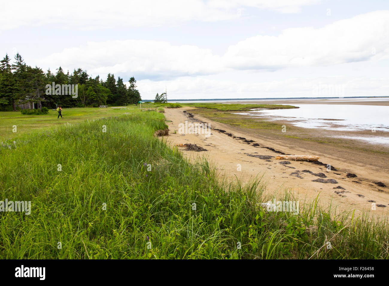 Kelly's Beach è un'impostazione di scenic solitudine in Kouchibouguac National Park, New Brunswick, Canada. Foto Stock