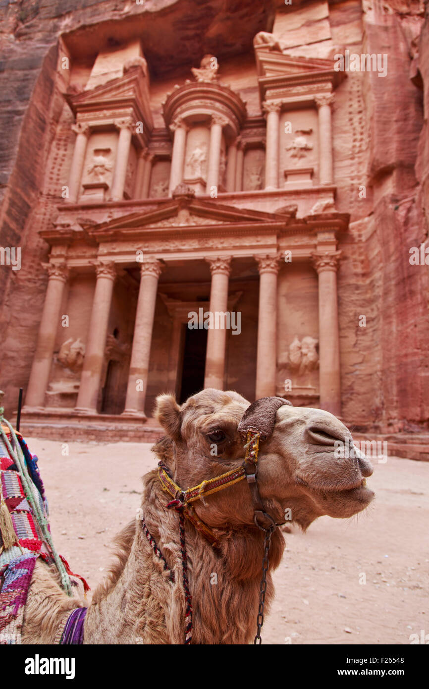 Petra, Giordania Foto Stock