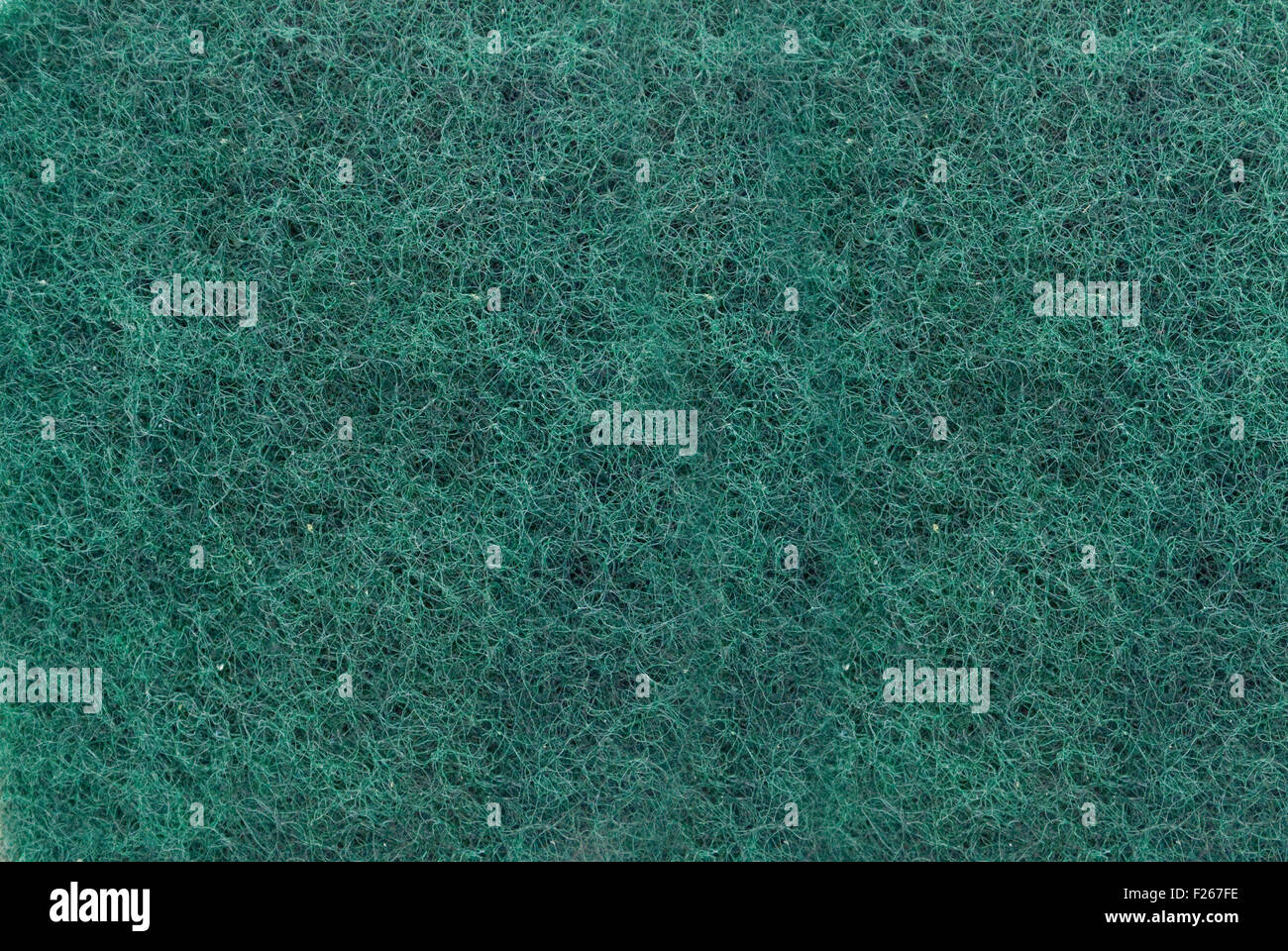 Macro zoomed verde fibra complicata per bagno spugne Foto Stock