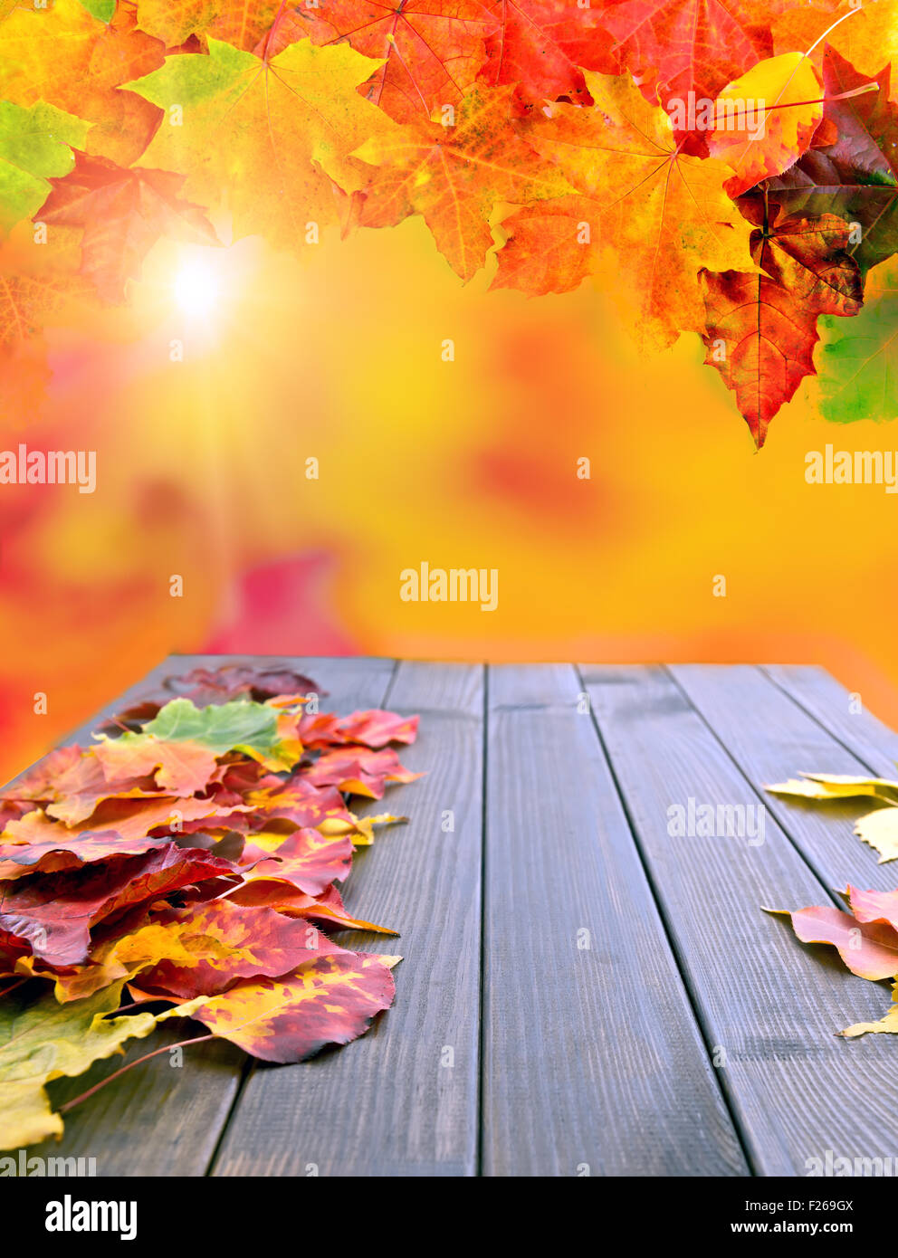 Collage di autunno cadono le foglie colorate Foto Stock