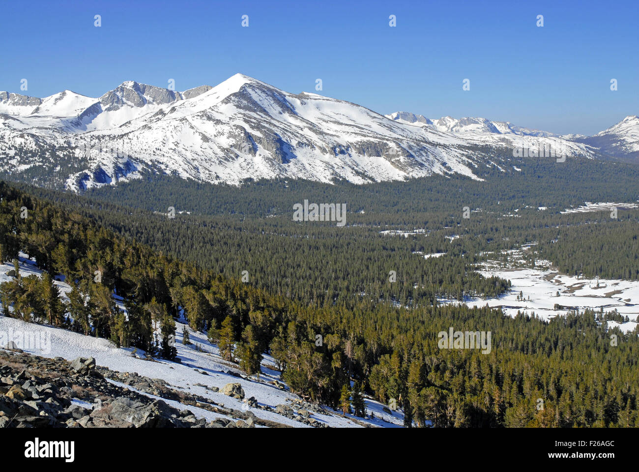 Panorama alpino con montagne innevate mentre alpinismo Monte Dana nel Parco Nazionale di Yosemite, Sierra Nevada, in California Foto Stock