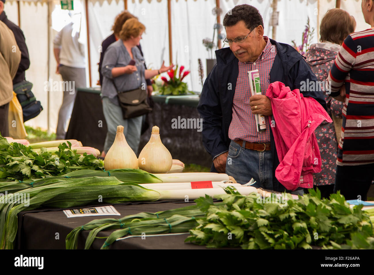 Un uomo guarda ad un gigante vegetale di porro sul display a Frome Cheese & Spettacolo Agricolo, Somerset, Regno Unito Foto Stock