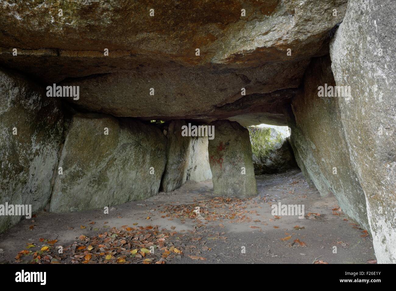 Ty ar Boudiquet dolmen preistorici tomba chambered cairn in Brennilis village, Brittany, Francia. Interno mostra stele singolo Foto Stock