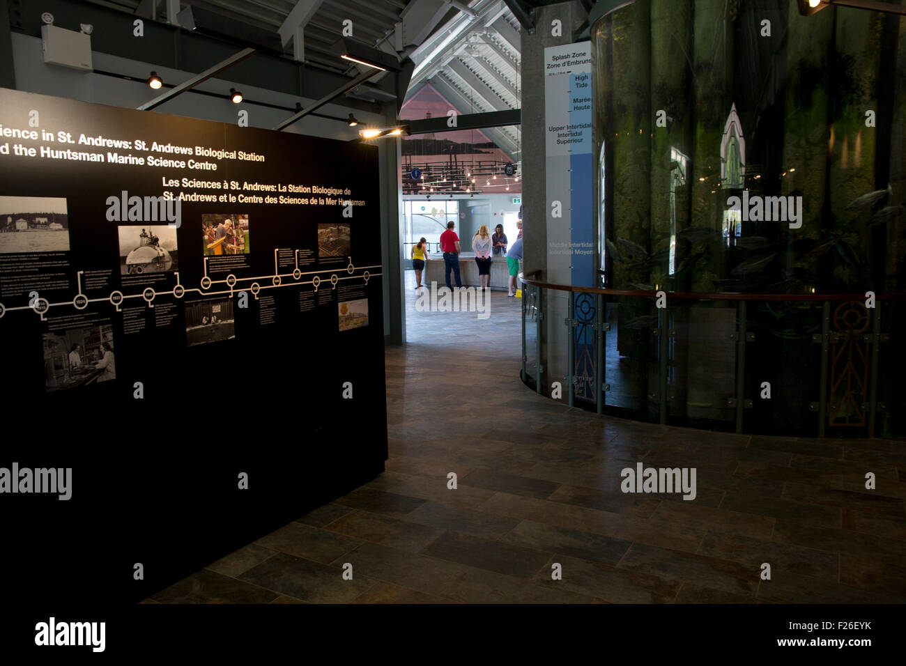 I visitatori possono esplorare le meraviglie del mare presso la Huntsman Marine Science Center acquario, non a scopo di lucro che gli studi di Sea Life. Foto Stock