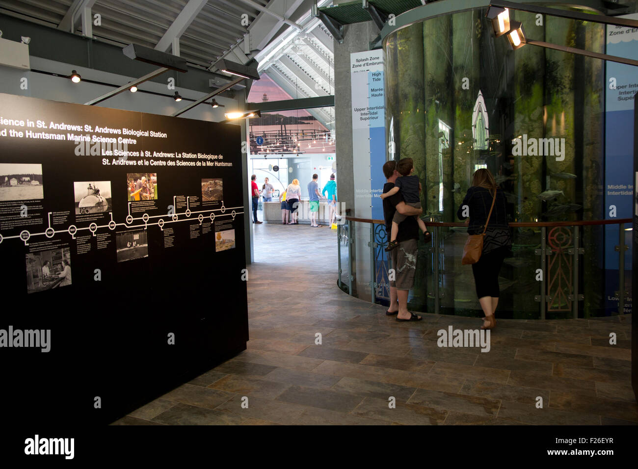 I visitatori possono esplorare le meraviglie del mare presso la Huntsman Marine Science Center acquario, non a scopo di lucro che gli studi di Sea Life. Foto Stock