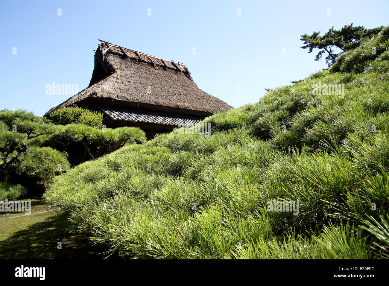 Casa da tè in un bellissimo giardino giapponese Foto Stock