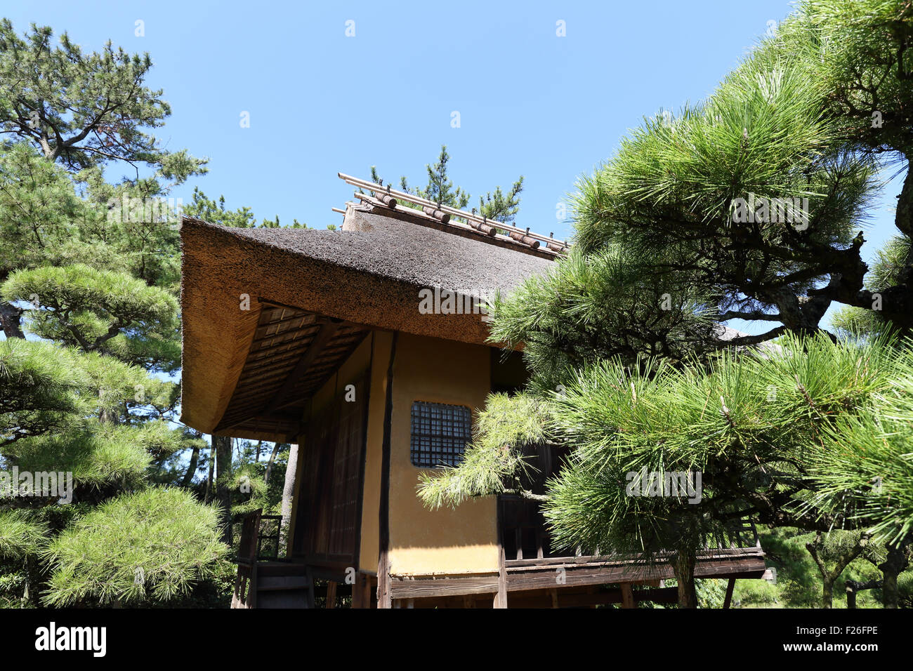 Casa da tè in un bellissimo giardino giapponese Foto Stock