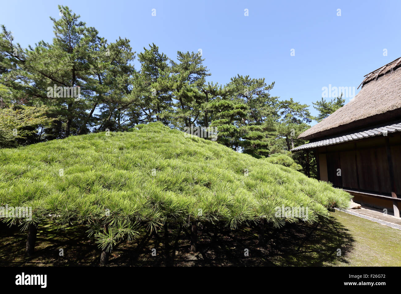 Giardino giapponese con tea house Foto Stock