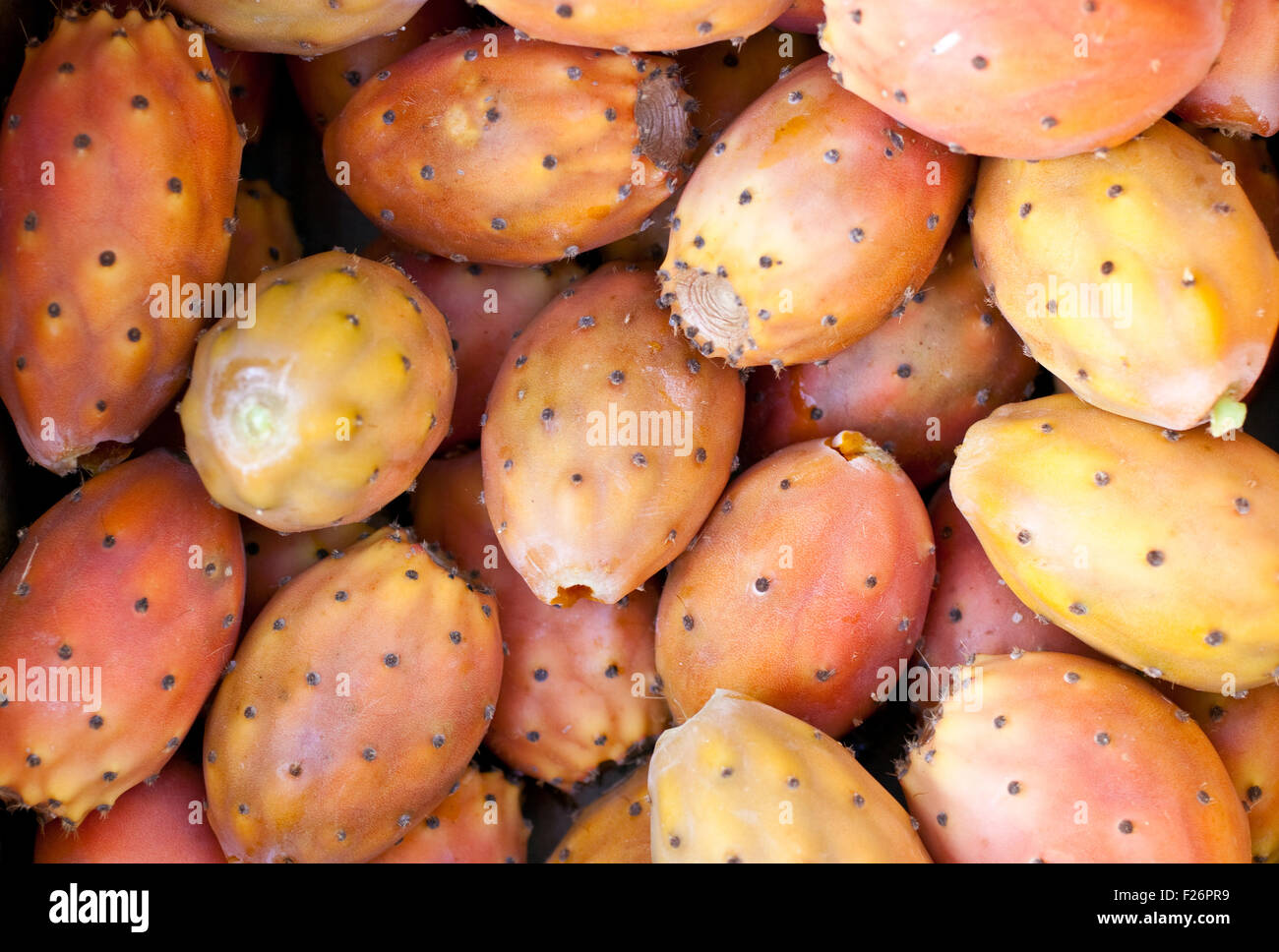 Freschi maturi siciliano ficodindia Foto Stock