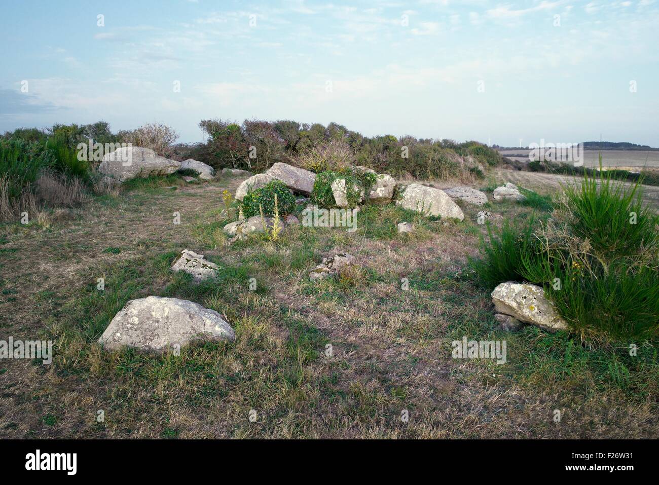 Il Cairn des Grays tumulo vicino Billiers, Morbihan, in Bretagna, Francia contenuto almeno 3 tombe di passaggio Foto Stock