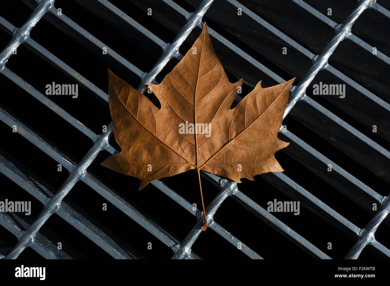 Un autunno foglie su un pozzo. Foto Stock