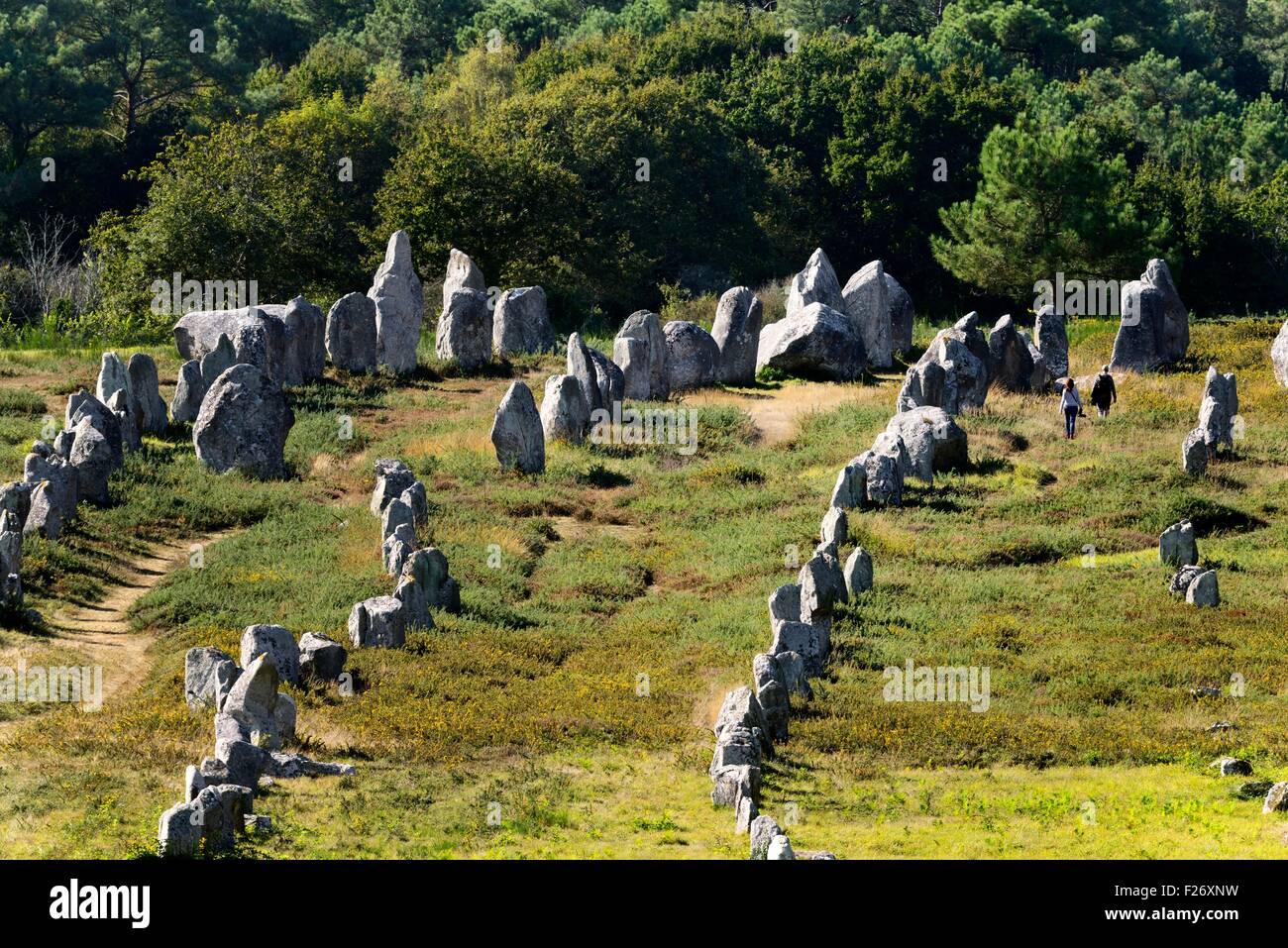 Carnac, Brittany, Francia. Il gruppo di Kermario di pietra preistorici allineamenti di riga guardando verso sud-ovest verso il più alto Foto Stock