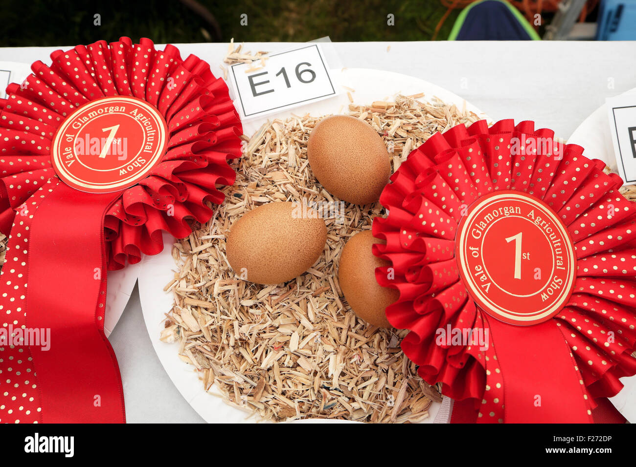 Nastri di rosso il primo premio vincendo brown uova di galline a 2015 Vale of Glamorgan spettacolo agricolo in Galles, UK KATHY DEWITT Foto Stock