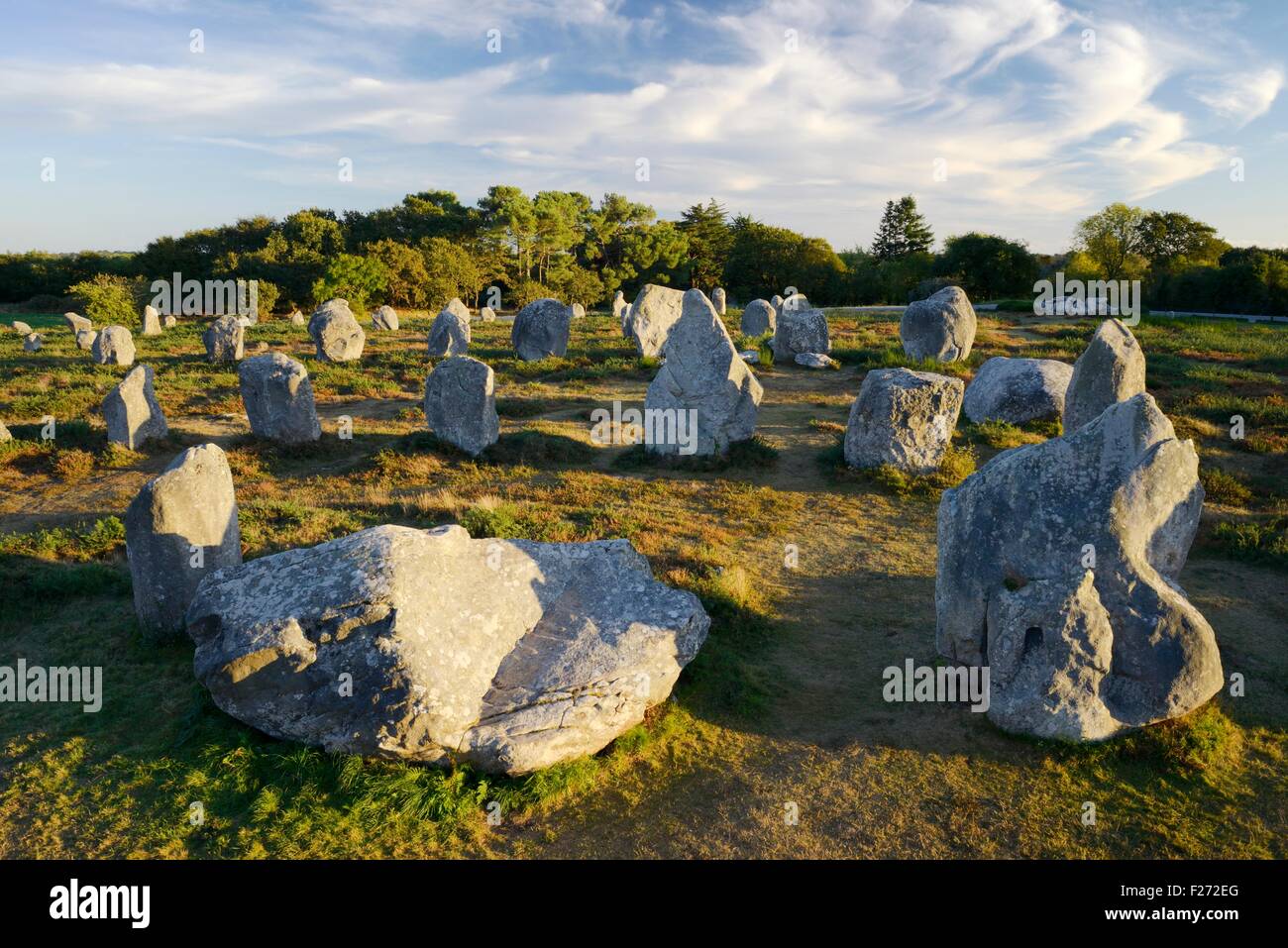 Carnac, Brittany, Francia. Parte del sud occidentale della Kermario gruppo di pietra preistorici allineamenti di riga Foto Stock