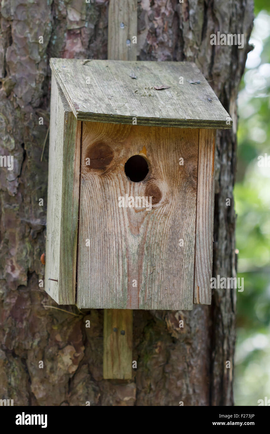 Birdhouse in legno seduto su una struttura ad albero Foto Stock