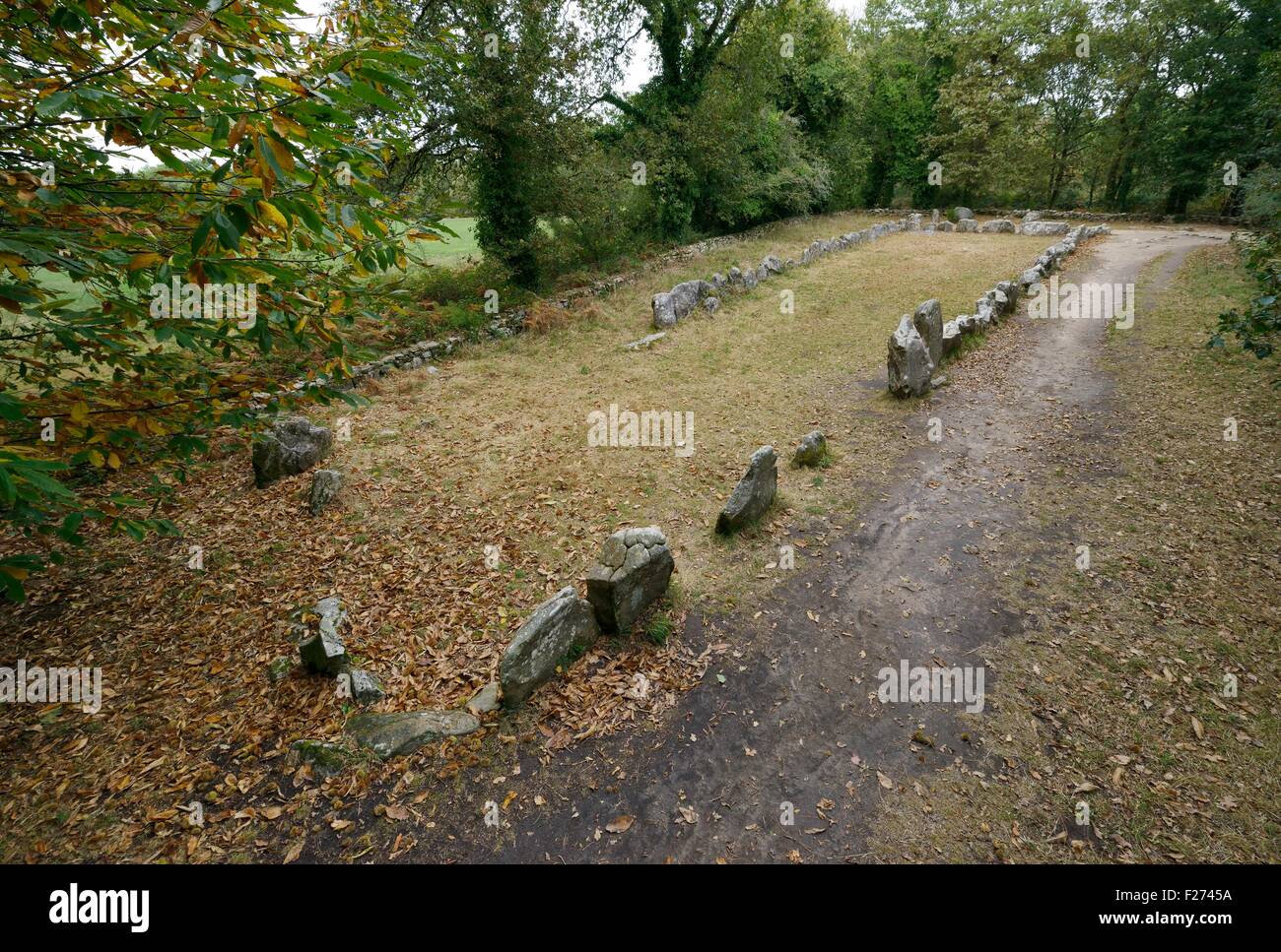 Carnac, Brittany, Francia. Preistorici enclosure di pietra conosciuta come il quadrilatero Manio o Le Quadrilatere de Manio Foto Stock