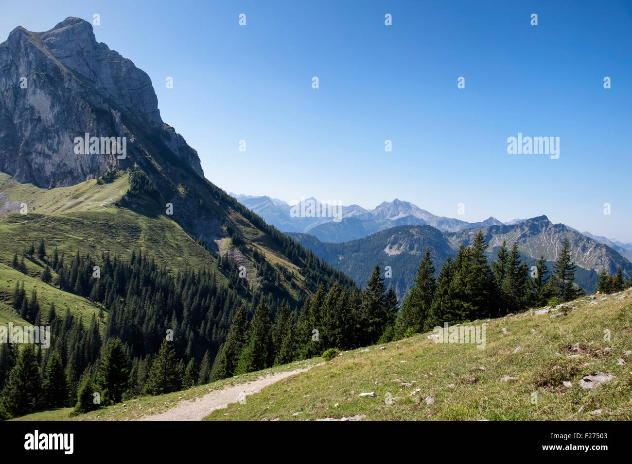 Alpi bavaresi, Aggenstein montagna, Germania - Vista del paesaggio di montagne e foresta di Tannheim Mountain Range Foto Stock