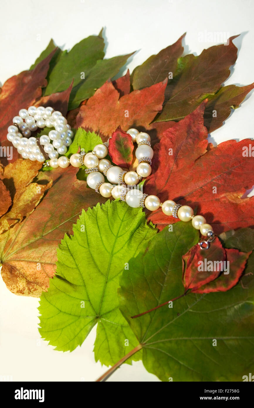 Collana di perle su foglie secche Foto Stock