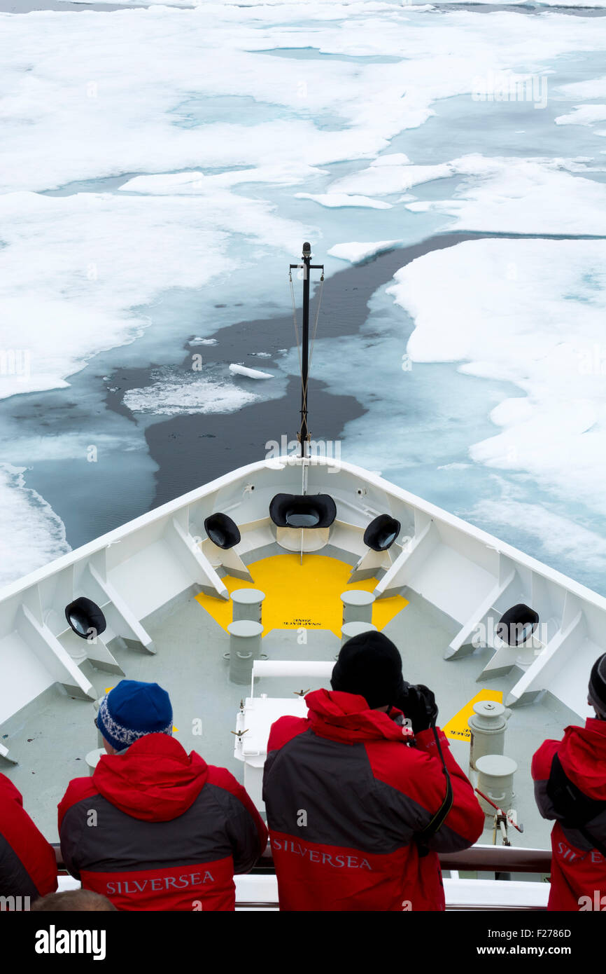 Norvegia, il Mare di Barents, Svalbard, Spitsbergen. Nordvest-Spitsbergen National Park, al di sopra di 80 gradi nord sul flusso di ghiaccio. Foto Stock