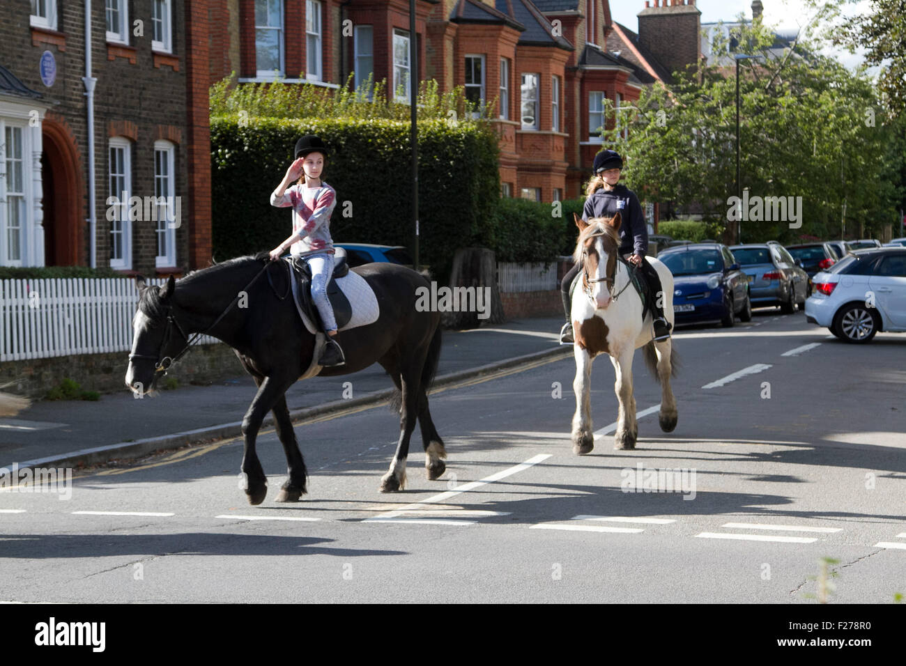 Wimbledon Londra,UK. 12 settembre 2015. Un gruppo di piloti del Cavallino in un giorno caldo e soleggiato a Wimbledon Londra Credito: amer ghazzal/Alamy Live News Foto Stock