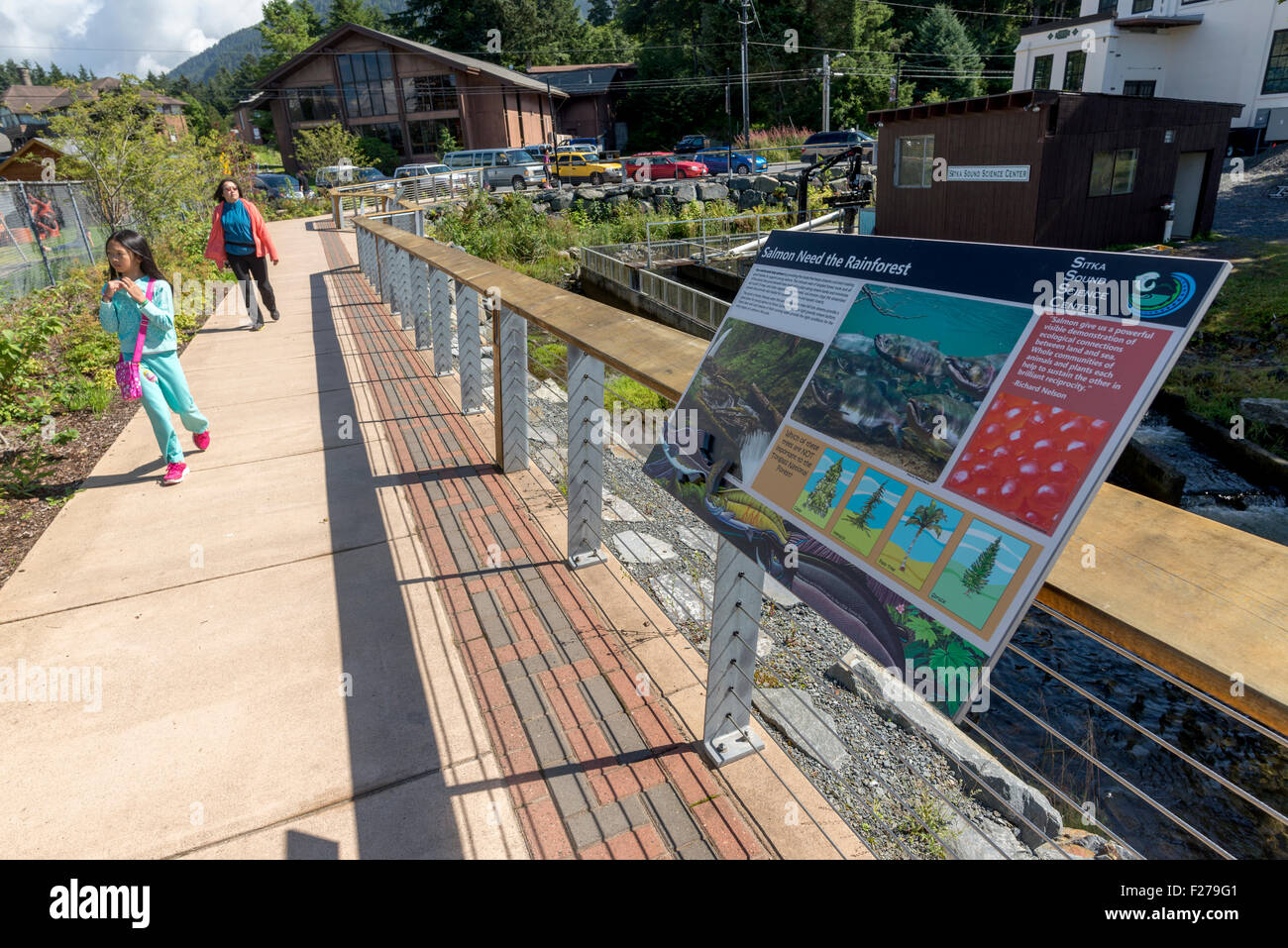 Necessità di salmone la foresta pluviale segno interpretative lungo il Sitka mare a piedi in Sitka, Alaska. Foto Stock