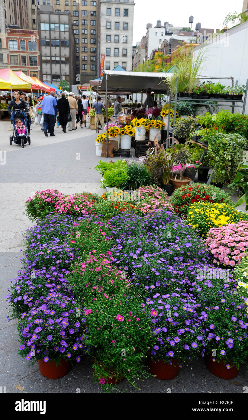 Unione Greenmarket Square, New York New York Foto Stock