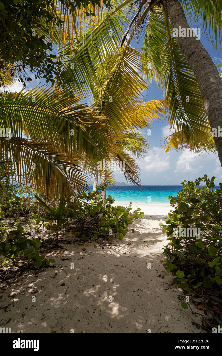 Percorso per i Caraibi, isola di sabbia, Isole Vergini Britanniche Foto Stock