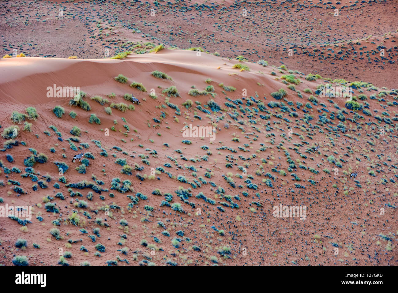 Vista aerea di alte dune rosse, situato nel deserto del Namib, il Namib-Naukluft Parco Nazionale della Namibia. Foto Stock