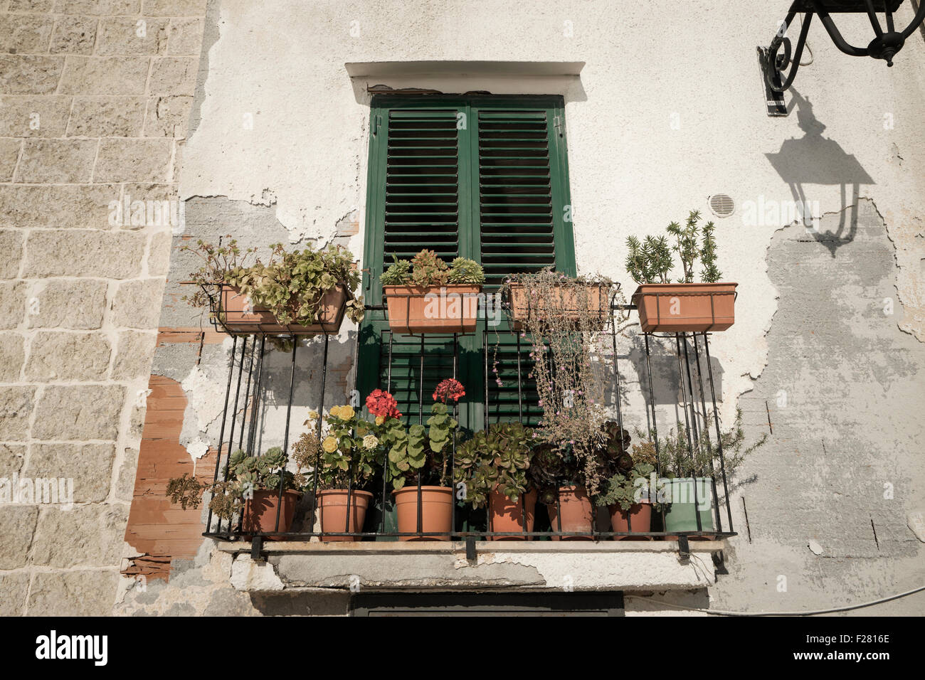 Basso angolo di vista balcone con vasi di fiori, Monopoli, Puglia, Italia Foto Stock