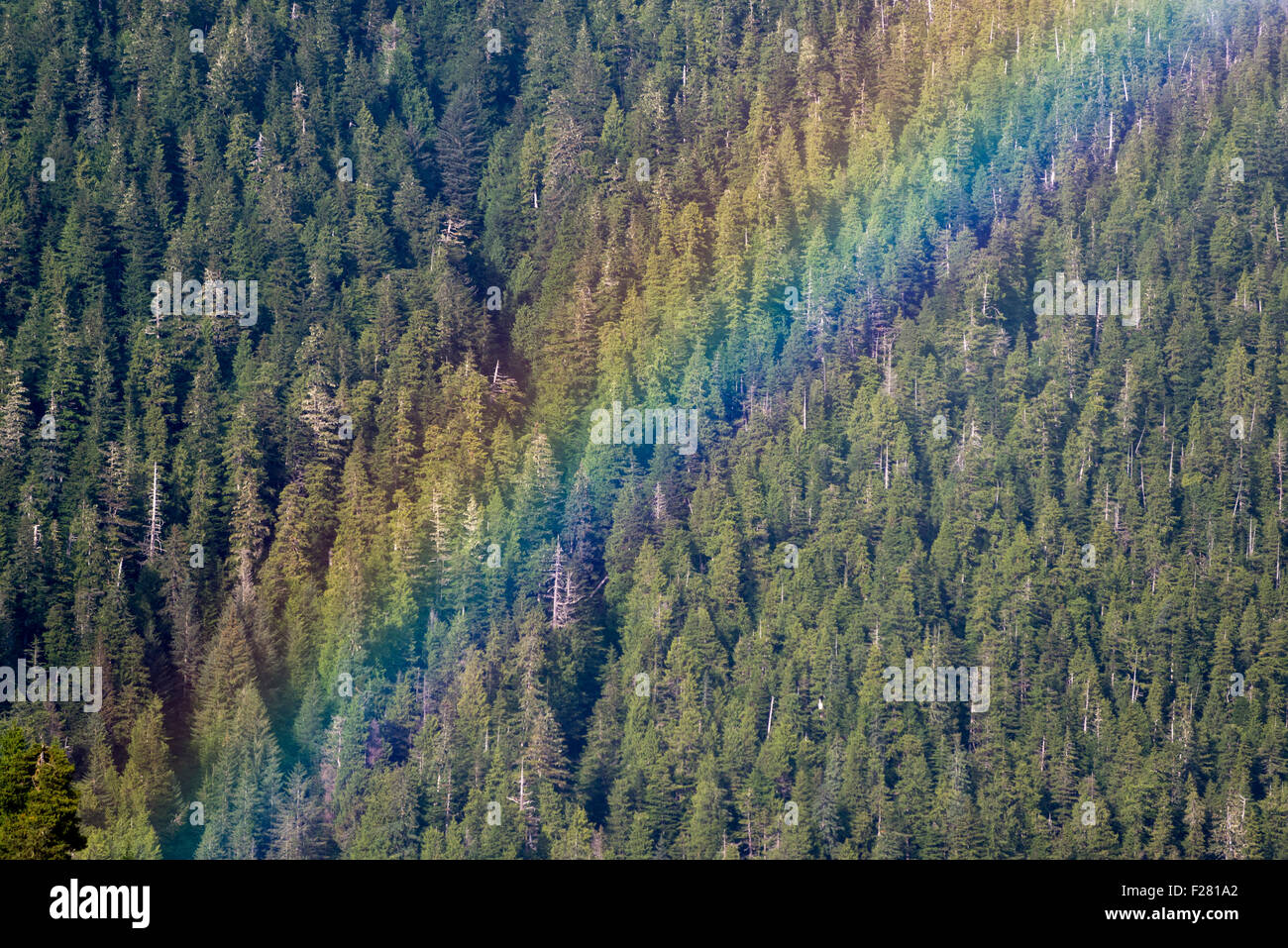 Rainbow, Baranof Island, Alaska. Foto Stock